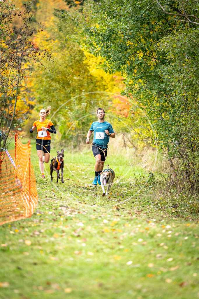 Pfotenfotografie_DV3A1646 | Hundefotografie, Tierfotograf, Pfotenfotografie, Fotoshooting Hund, Hunde Portrait, Hundesport, Hundeportraits, Heideshooting, Hunde, Sportfotograf, Hundefotograf, Turnierhundsport, THS,  - Realisiert mit Pictrs.com