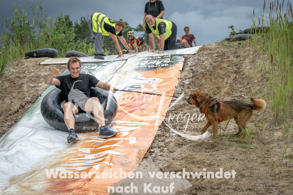 1555_ZZ99361 | kk-dogfotos