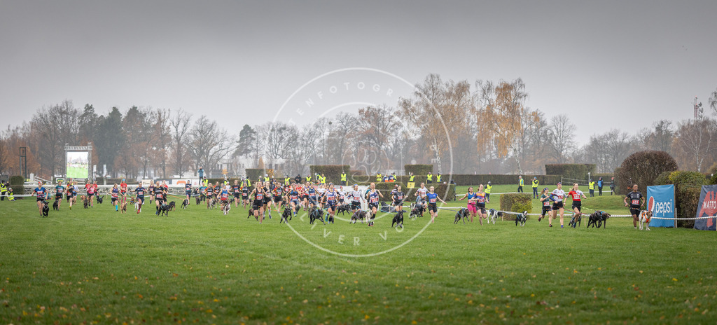 CaniXpix_DV3A8702 | Hundefotografie, Tierfotograf, Pfotenfotografie, Fotoshooting Hund, Hunde Portrait, Hundesport, Hundeportraits, Heideshooting, Hunde, Sportfotograf, Hundefotograf, Turnierhundsport, THS,  - Realisiert mit Pictrs.com