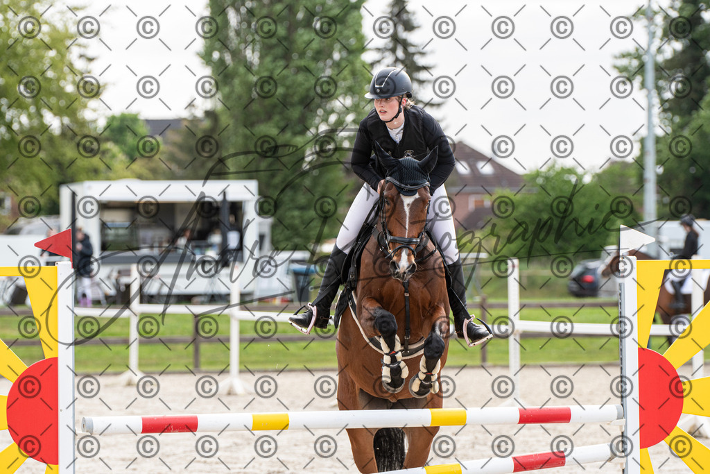 KPT_7749 | andre_photographic