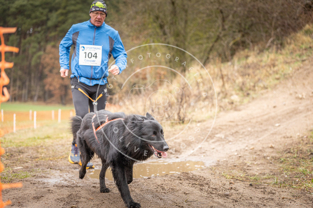 DV3A0625 | Hundefotografie, Tierfotograf, Pfotenfotografie, Fotoshooting Hund, Hunde Portrait, Hundesport, Hundeportraits, Heideshooting, Hunde, Sportfotograf, Hundefotograf, Turnierhundsport, THS,  - Realisiert mit Pictrs.com