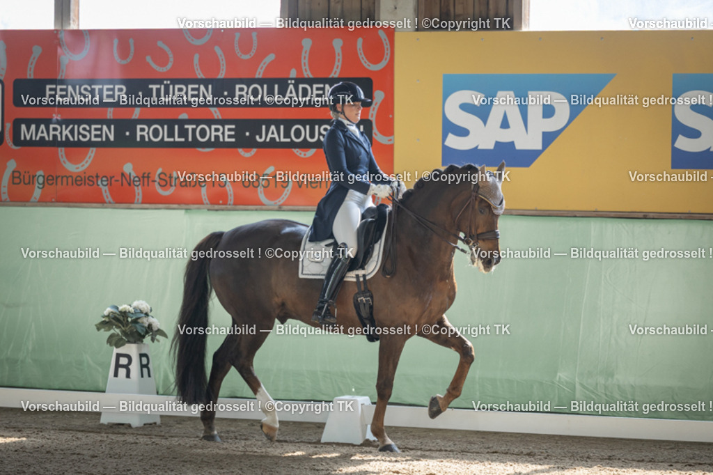 _D5A9165 | Emotionale Pferde- & People-Fotografie rund um Heidelberg, Leimen & Umgebung. Natürliche Fotos von Pferd, Mensch & Familie. Jetzt Termin sichern!