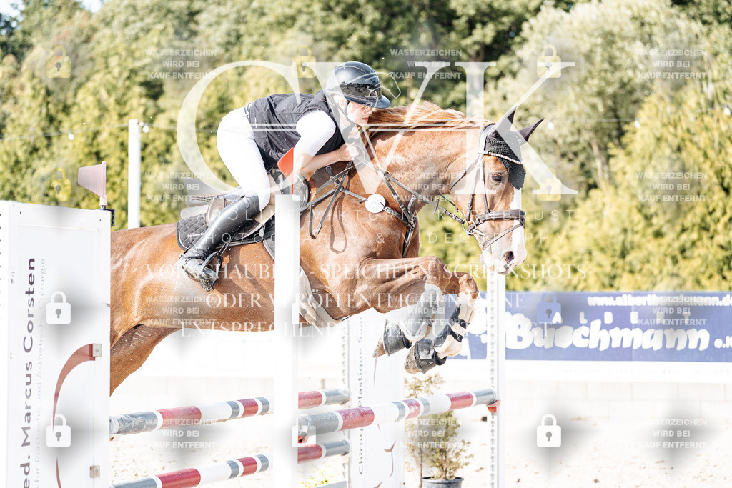 CK906044 | Turnierfotografie Pferdefotografie Trier Rheinland-Pfalz Pferdesport Reitsport Tierfotografie Sportfotografie Pferdevideo Pferdevideografie Equestrianvideography equestrianphotography  - Realisiert mit Pictrs.com