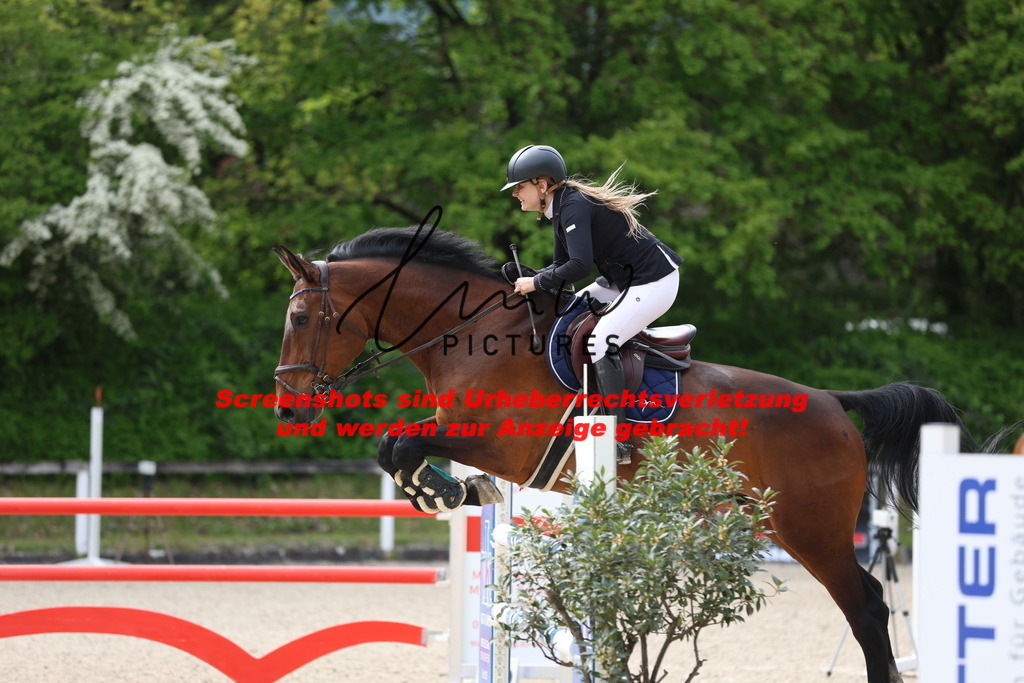 A40A4950 | lmwpictures - Realisiert mit Pictrs.com