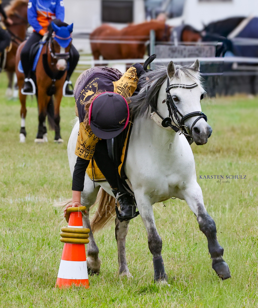 1B3A1525 | Reitsport Reiten
