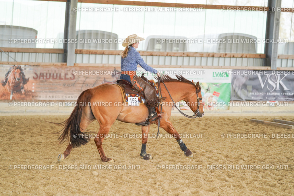 DSC01549 | Pferdegrafie