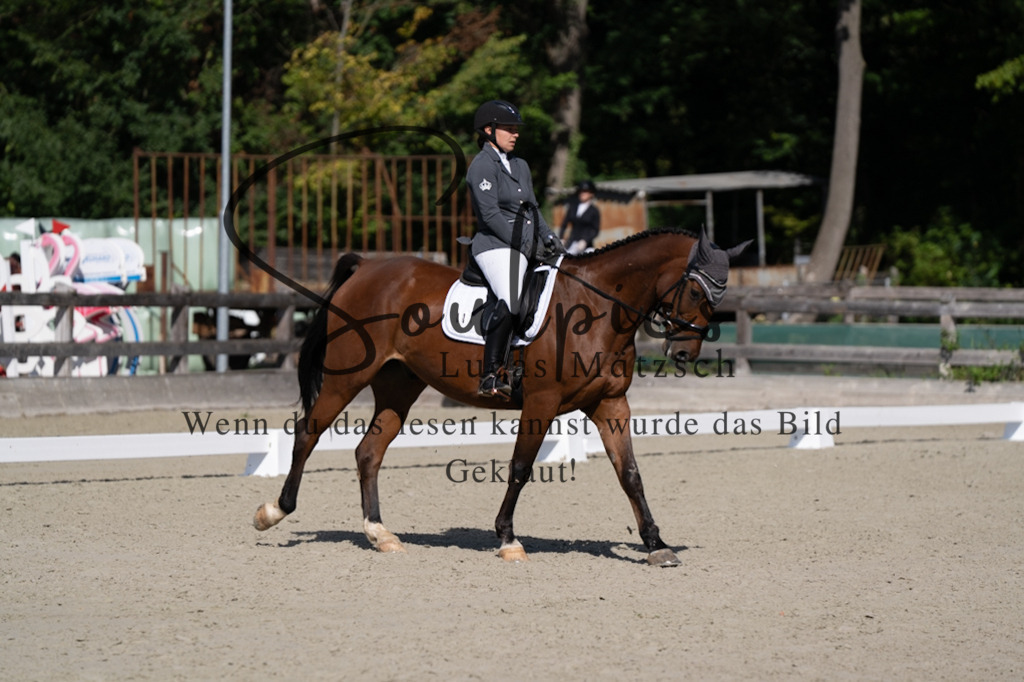 A7V07025 | Turnier/Reitfotograf