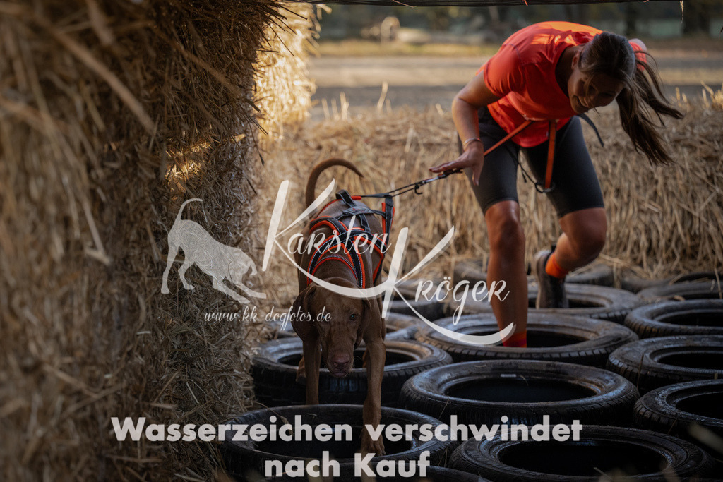 0956_ZZ95528 | kk-dogfotos