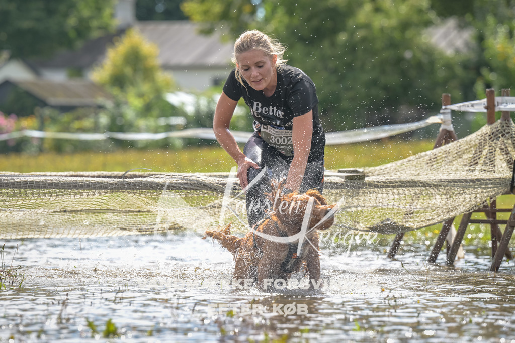 1325_ZZ91084 | kk-dogfotos