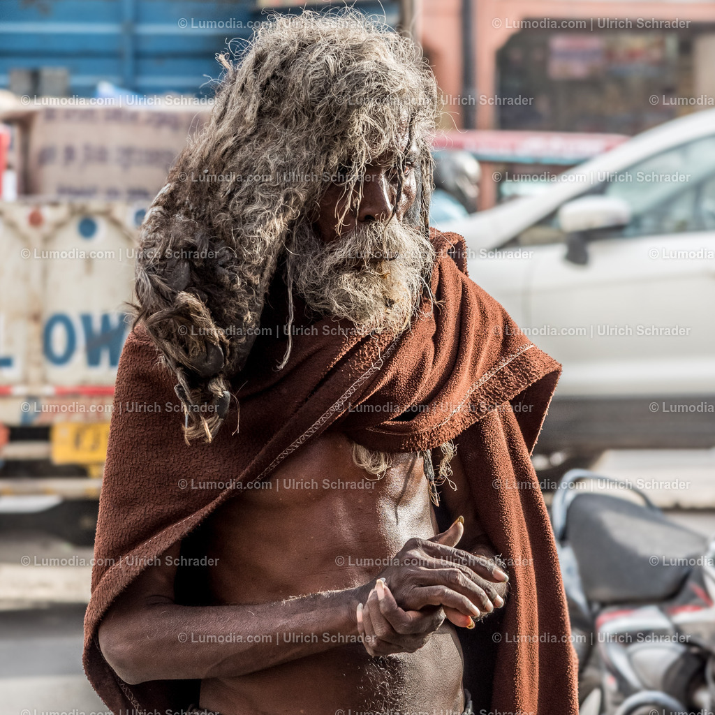 202510-194 | Stockfoto und Bilderpool mit Bildmaterial aus Deutschland, dem Harz, Halberstadt, Quedlinburg, Wernigerode und weltweit. Qualitativ hochwertige und professionelle Fotos anschauen und kaufen. - Realisiert mit Pictrs.com