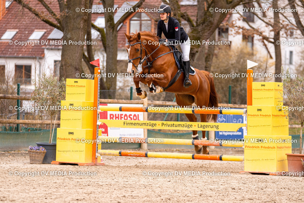 Kranichstein Tag 2-452 | dv-media-shop - Realisiert mit Pictrs.com