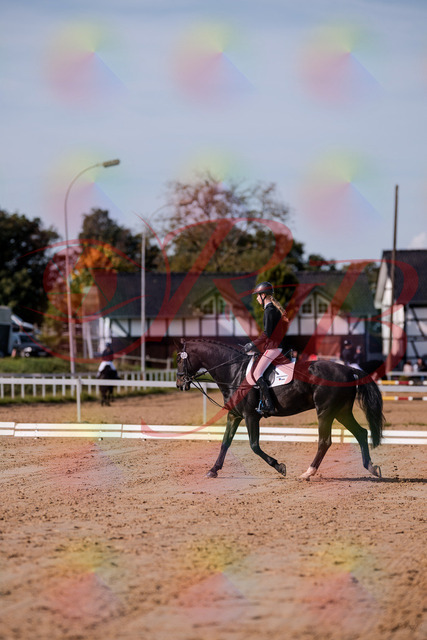 2026_10_03_Siefer-Hof_115444_Z81_94521594 | Professionelle Reitsport-, Turnier- und Eventfotografie von Robert Broda. Galerien mit ausgewählten und bearbeiteten Bildern direkt online ansehen und bestellen.