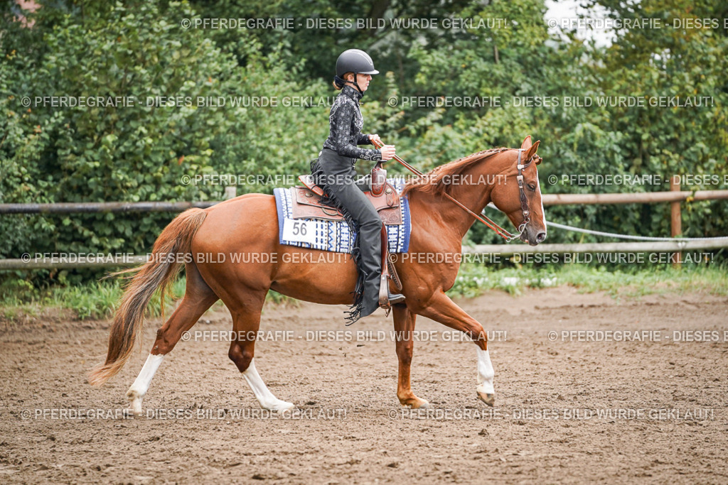 DSC02421 | Pferdegrafie