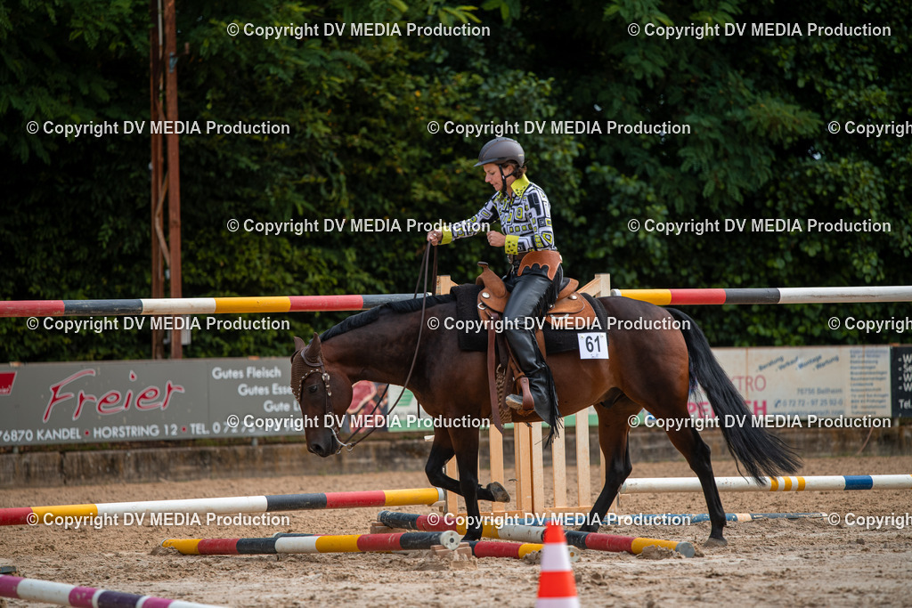 ZS3_9201 | dv-media-shop - Realisiert mit Pictrs.com