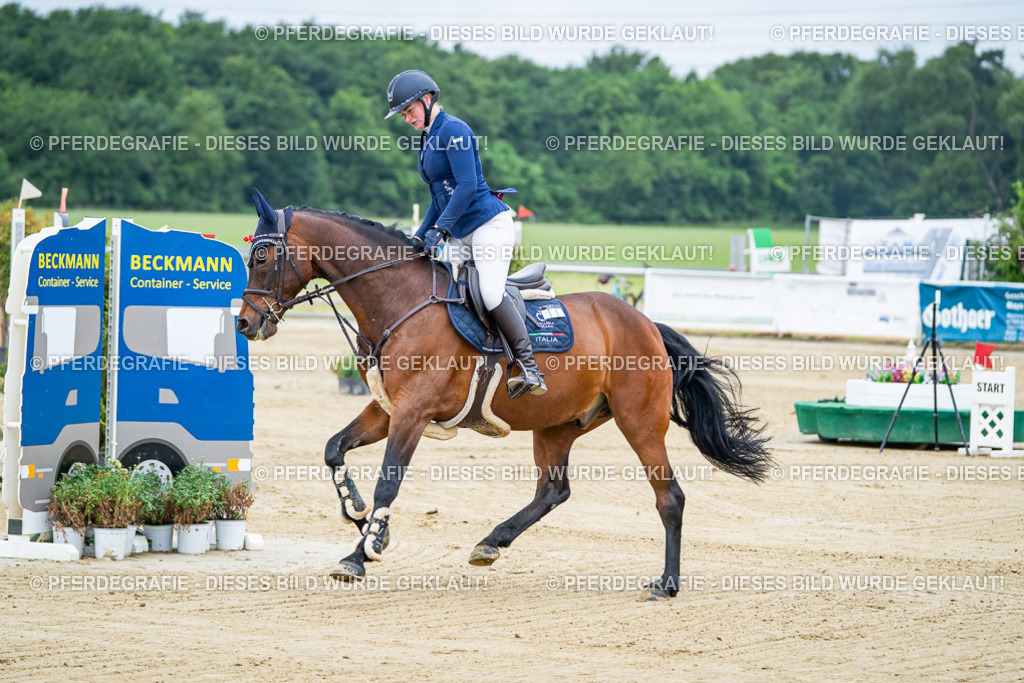 DSC03335 | Pferdegrafie