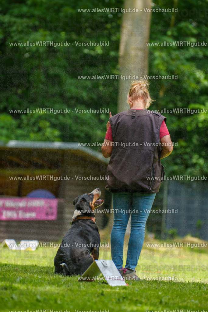 @allesWIRTHgut_Tierfotografie - www.allesWIRTHgut.de - 7R504542 | Professionelle Tierfotografie in Mönchengladbach von Daniel Wirth (allesWIRTHgut). Liebevolle & natürliche Bilder von Hunden & Katzen für unvergessliche Erinnerungen.