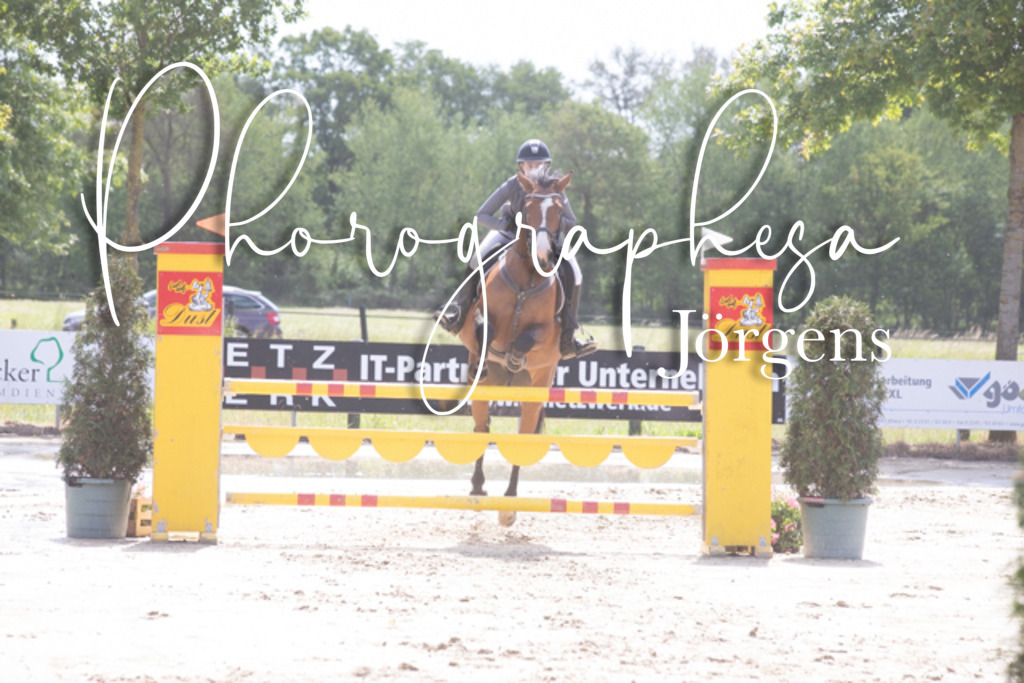 IMG_4048 | photographesa-joergens - Realisiert mit Pictrs.com