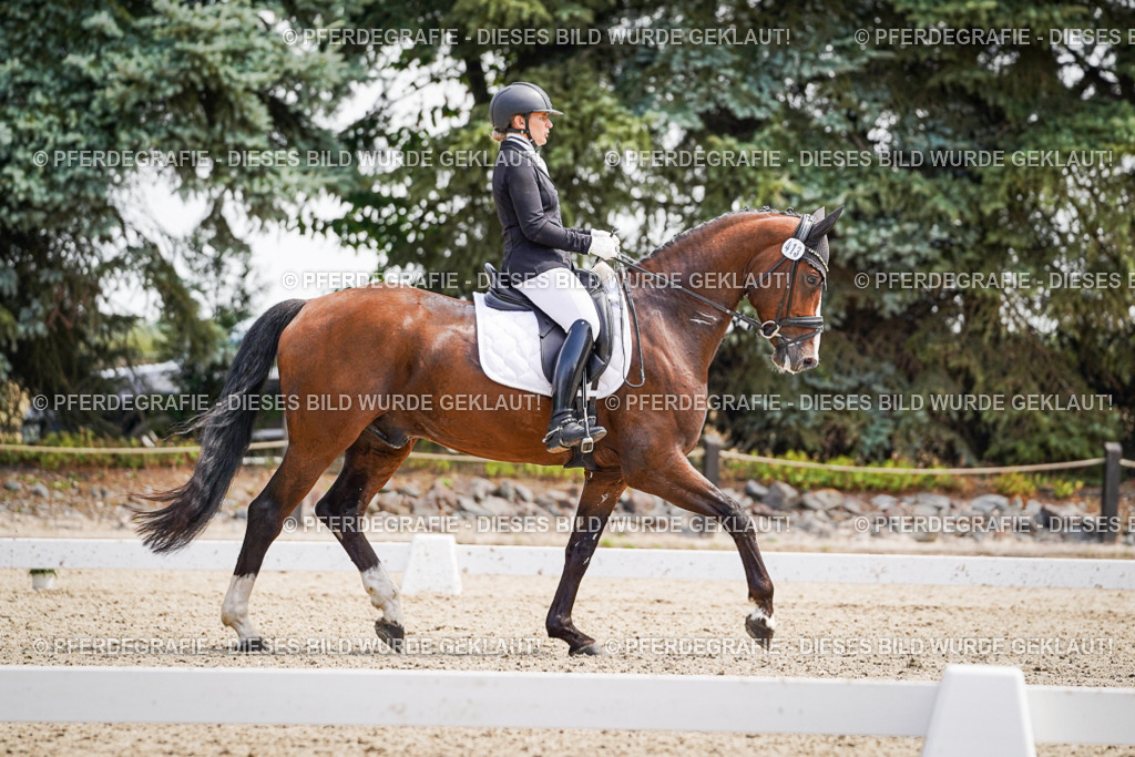 DSC00315 | Pferdegrafie