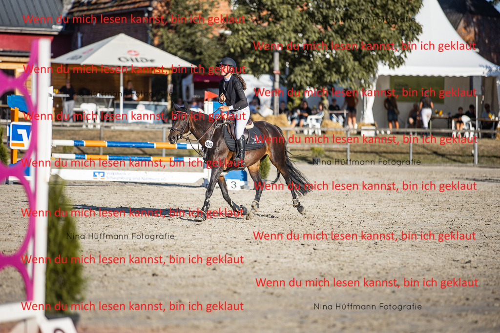 BK1A7863 | Turnierbilder Turnierfotos Nina Hüffmann Turnierfotografie Pferdefotografie Tierzeichnung Haustierzeichnung Pferdezeichnung Hundezeichnung Videograf  - Realisiert mit Pictrs.com