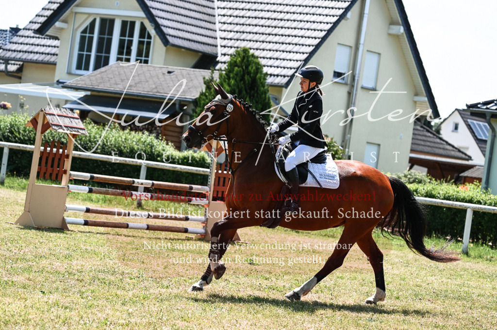 DSC_9881 | Pferde- und Turnierfotografie in Westsachsen. Pferdeportraits, Auftragszeichnungen und intuitive Kunst.