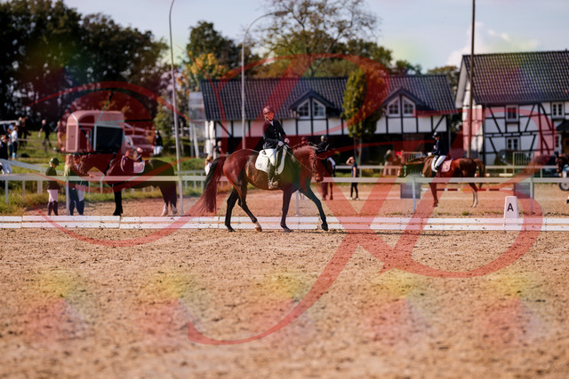 2026_10_03_Siefer-Hof_133903_Z81_98341975 | Professionelle Reitsport-, Turnier- und Eventfotografie von Robert Broda. Galerien mit ausgewählten und bearbeiteten Bildern direkt online ansehen und bestellen.