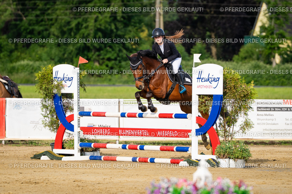 DSC02708 | Pferdegrafie