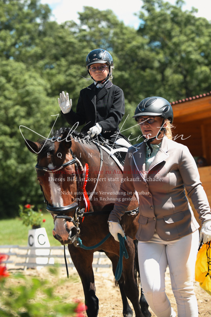 DSC_1986 | Pferde- und Turnierfotografie in Westsachsen. Pferdeportraits, Auftragszeichnungen und intuitive Kunst.