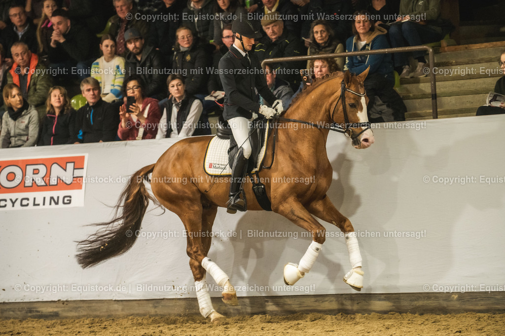 20240302_Hengstvorstellung_Marbach_TOMsPiC_0558 | equistock