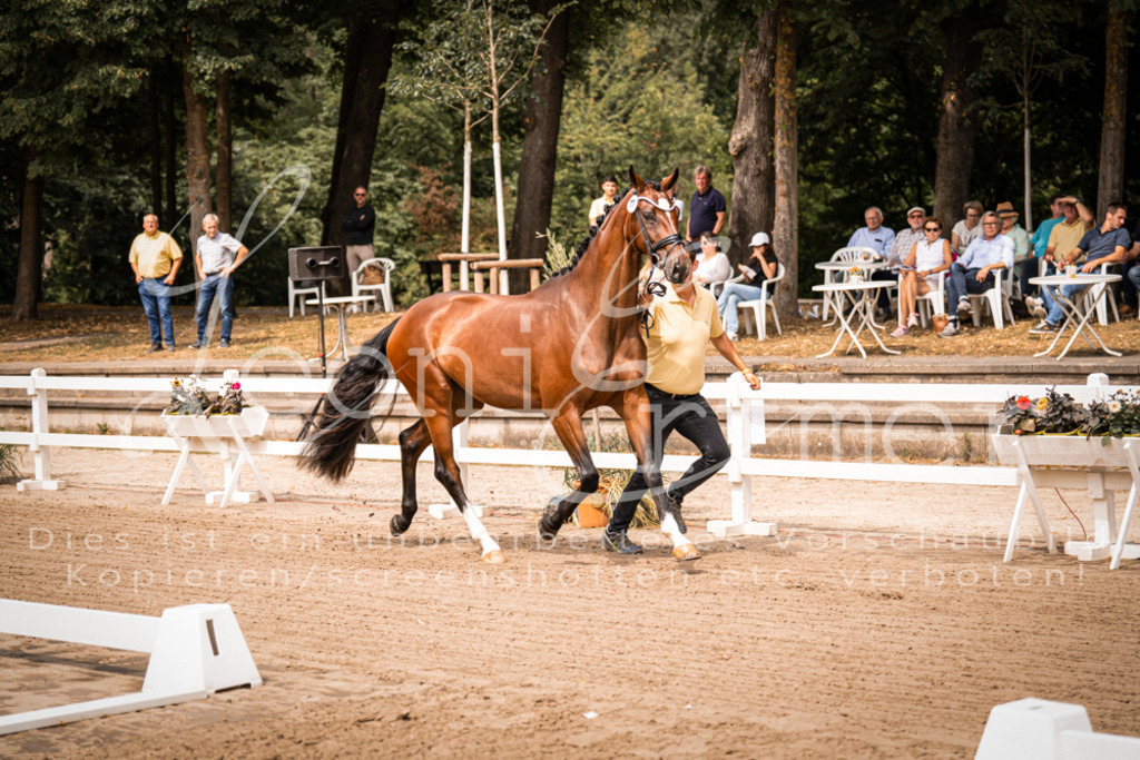 4.Fr00022 | Leoni Ertmer Photography - Realisiert mit Pictrs.com