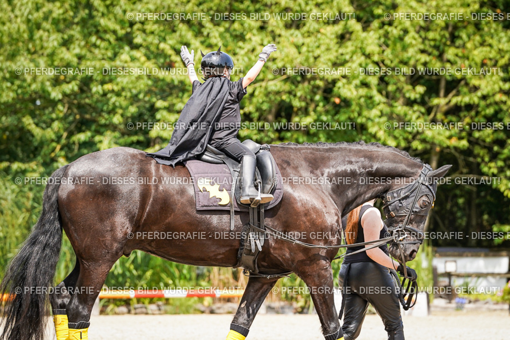 DSC03113 | Pferdegrafie