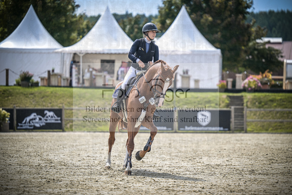 DOS_6053 | Entdecke hochwertige Reitturnierfotos von Foto Oger. Professionell, emotional und authentisch – jetzt Lieblingsmomente im Shop bestellen.Deutschlandweite Turnierfotografie. - Realisiert mit Pictrs.com