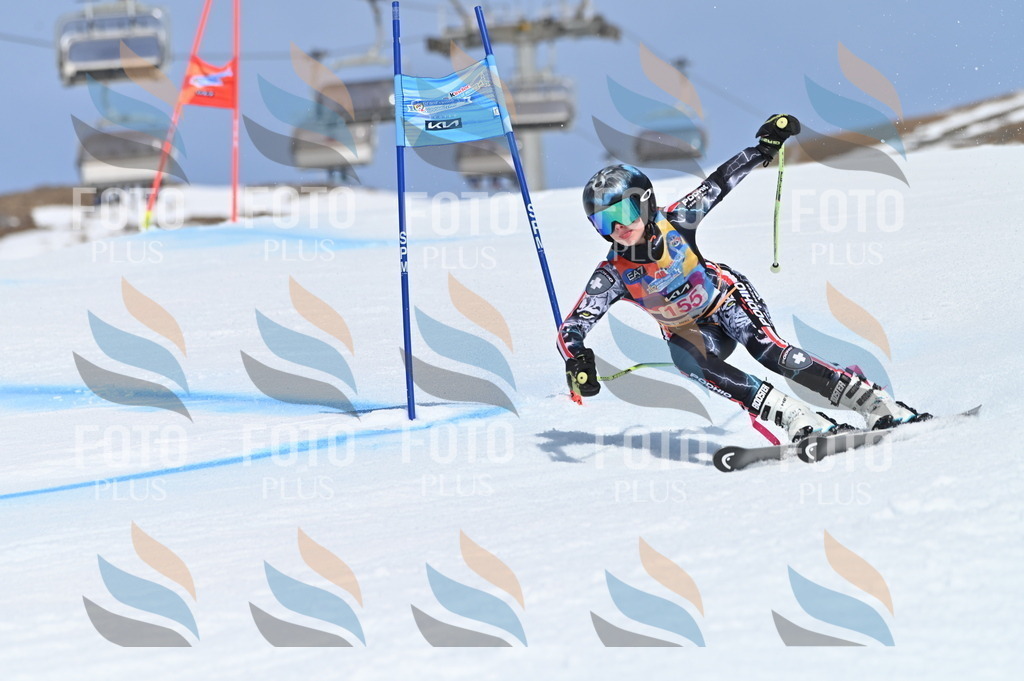 BGV_0147 | holidayphoto