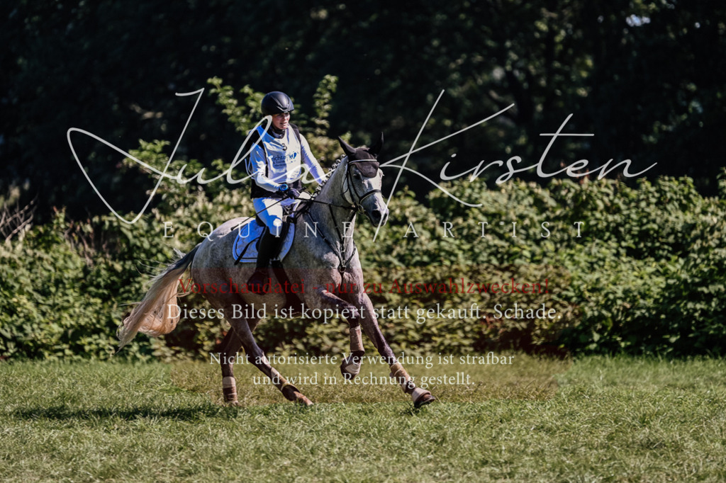DSC_1418 | Pferde- und Turnierfotografie in Westsachsen. Pferdeportraits, Auftragszeichnungen und intuitive Kunst.