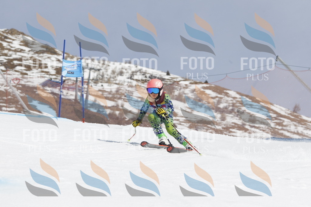 _U3G1802 | holidayphoto