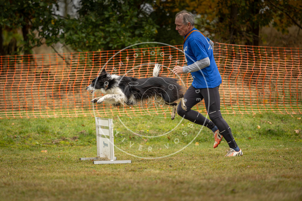 Pfotenfotografie_DV3A2651 | Hundefotografie, Tierfotograf, Pfotenfotografie, Fotoshooting Hund, Hunde Portrait, Hundesport, Hundeportraits, Heideshooting, Hunde, Sportfotograf, Hundefotograf, Turnierhundsport, THS,  - Realisiert mit Pictrs.com