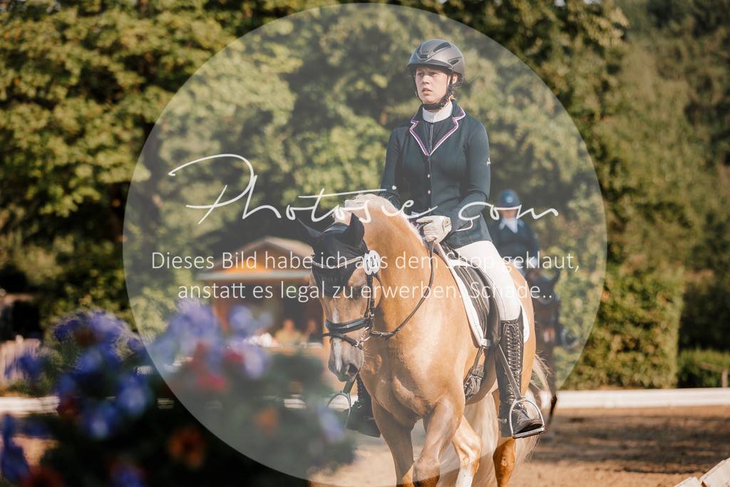 3I6A8751 | Stimmungsvolle Portraits und Reitsportfotografie im Ruhrgebiet und im Münsterland.

Pferdefotografie, Hundefotografie, Tierfotografie, Reportagen, Portraits von Tier und Mensch, Turnierfotografie in Bochum, Recklinghausen, Marl, Haltern am See, Dülmen.. - Realisiert mit Pictrs.com