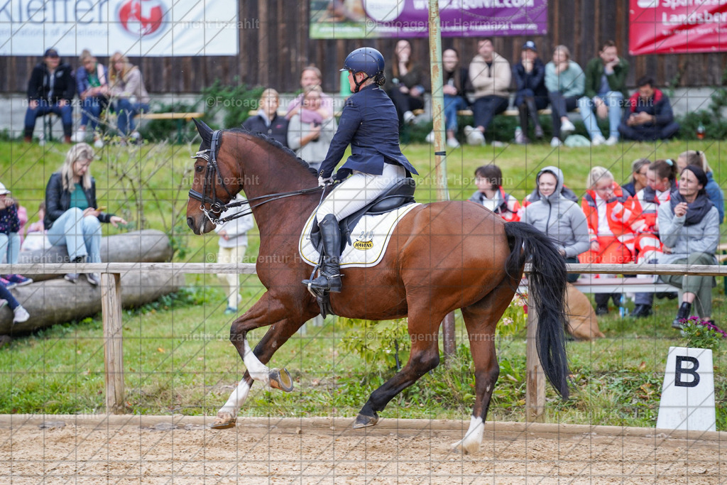 20231007-SN_00852 | Professionelle Turnier- und Reitsportfotografie - mit dem Finger am Auslöser. Pferdebilder aus dem Reitsport von den Turnierfotografen  Bayern , Pferdefotograf Bayern, Pferdeshooting Turnierbilder, Hochzeitsfotograf, Eventfotograf, Hochzeitsbilder