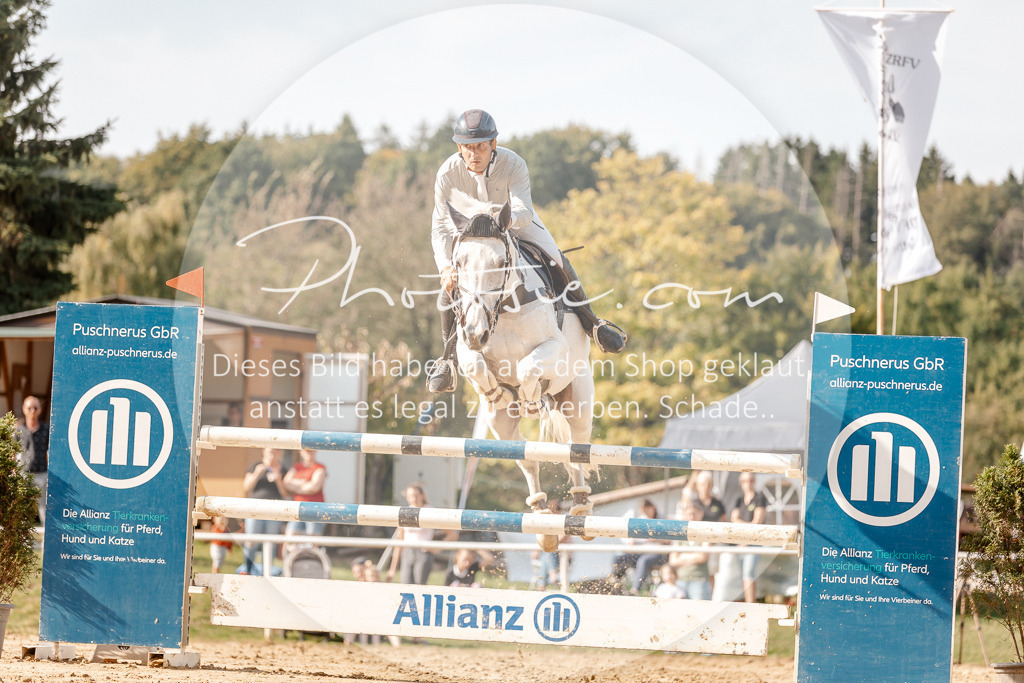 3I6A4963 | Stimmungsvolle Portraits und Reitsportfotografie im Ruhrgebiet und im Münsterland.

Pferdefotografie, Hundefotografie, Tierfotografie, Reportagen, Portraits von Tier und Mensch, Turnierfotografie in Bochum, Recklinghausen, Marl, Haltern am See, Dülmen.. - Realisiert mit Pictrs.com