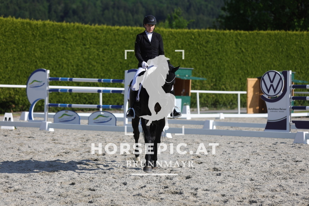 0P6A3467 | Willkommen bei Brunnmayr - Design & Fotografie – Ihrem Spezialisten für Reitturniere und Pferdeveranstaltungen in Oberösterreich, Salzburg und Bayern! Seit über 17 Jahren sind wir leidenschaftlich dabei.