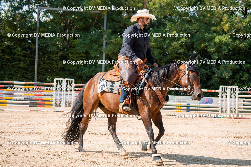 ZH100326 | dv-media-shop - Realisiert mit Pictrs.com