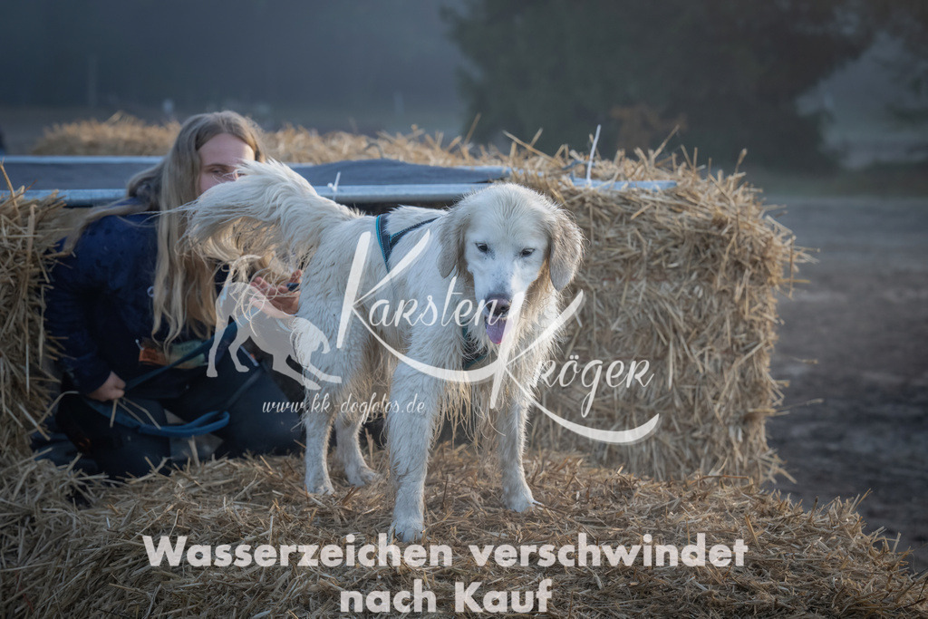 0850_ZZ99208 | kk-dogfotos