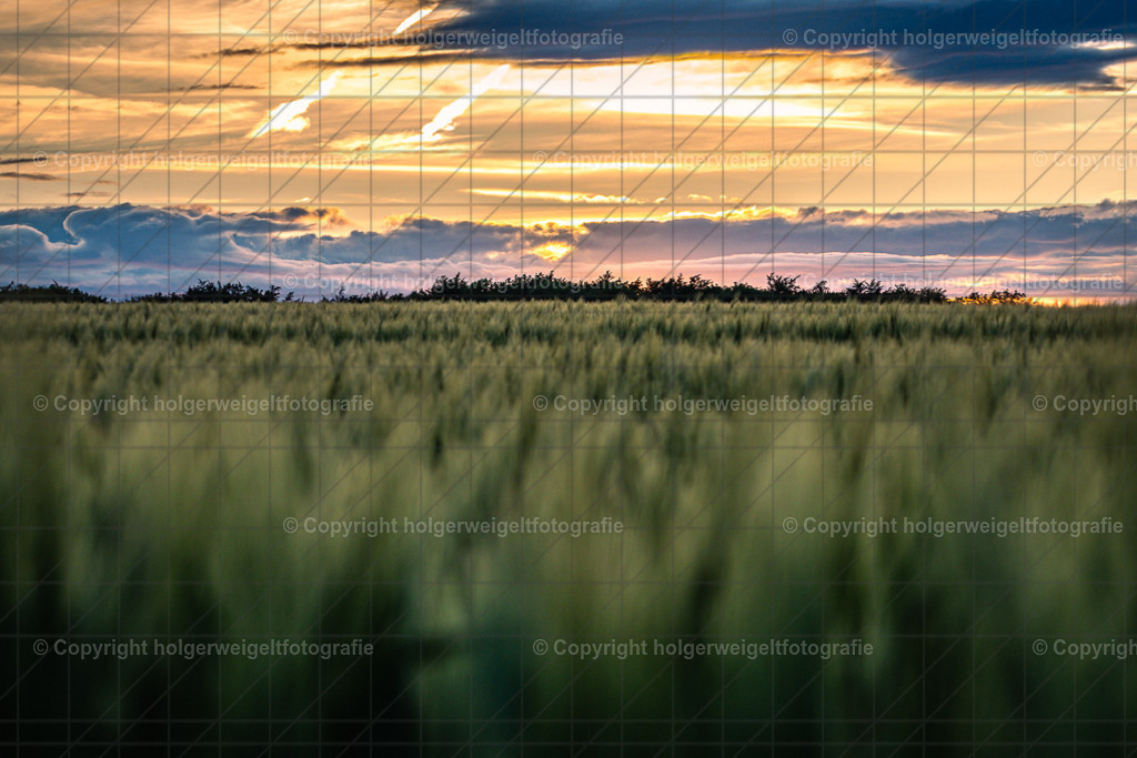 20220524195905D75_3188 | Kaufen sie online außergewöhnliche Fotografien auf Leinwand Acrylglas Fotoprint Aludibond von holgerweigeltfotografie - Realisiert mit Pictrs.com