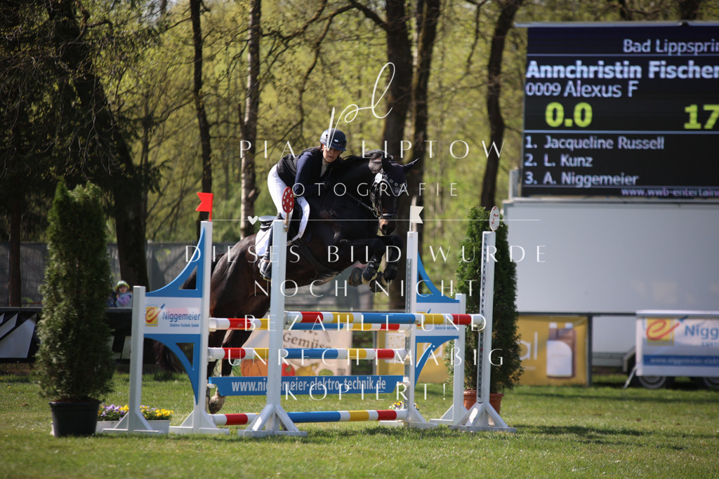 IMGT5955 | pl-fotografie