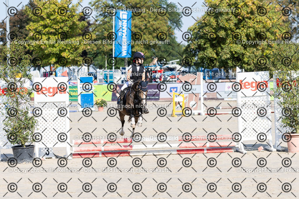 CL5A0065 | Emilia Reinking Fotografie - Realisiert mit Pictrs.com