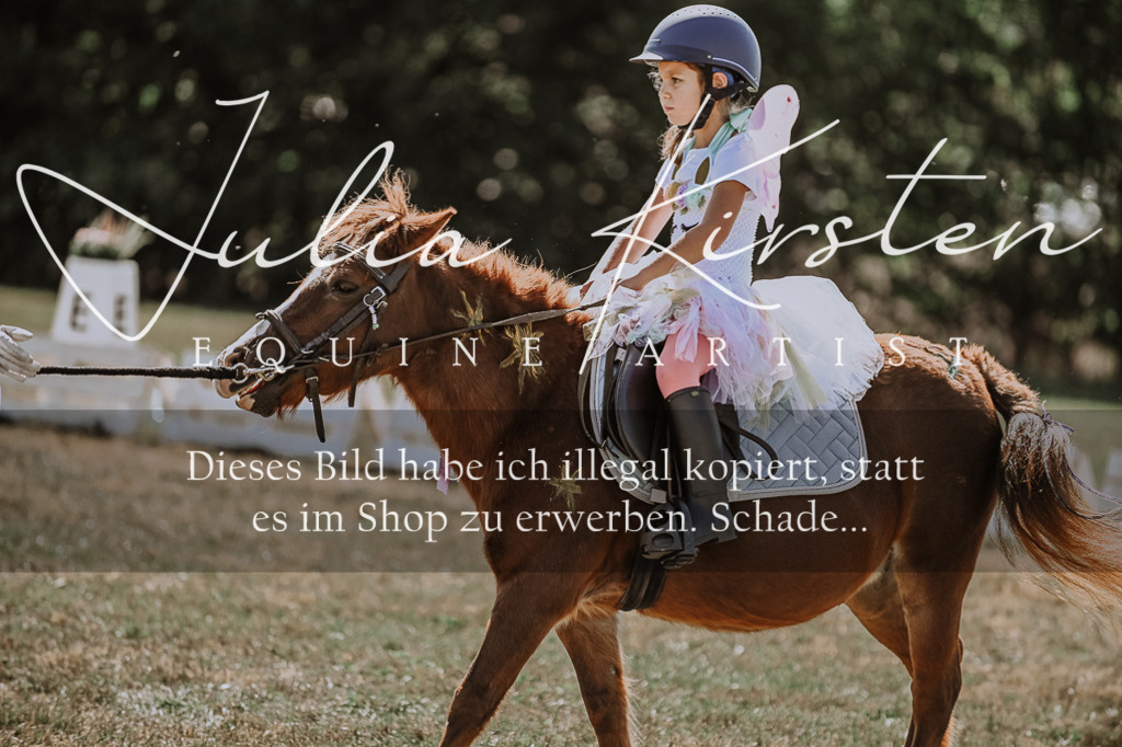 DSC_9103 | Pferde- und Turnierfotografie in Westsachsen. Pferdeportraits, Auftragszeichnungen und intuitive Kunst.
