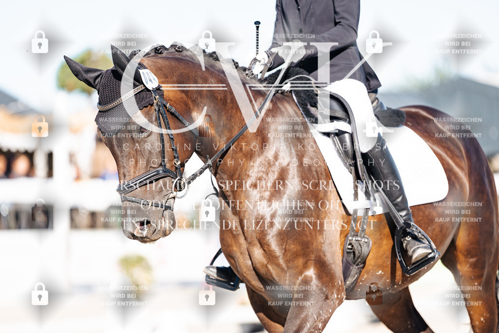 CK907134 | Turnierfotografie Pferdefotografie Trier Rheinland-Pfalz Pferdesport Reitsport Tierfotografie Sportfotografie Pferdevideo Pferdevideografie Equestrianvideography equestrianphotography  - Realisiert mit Pictrs.com