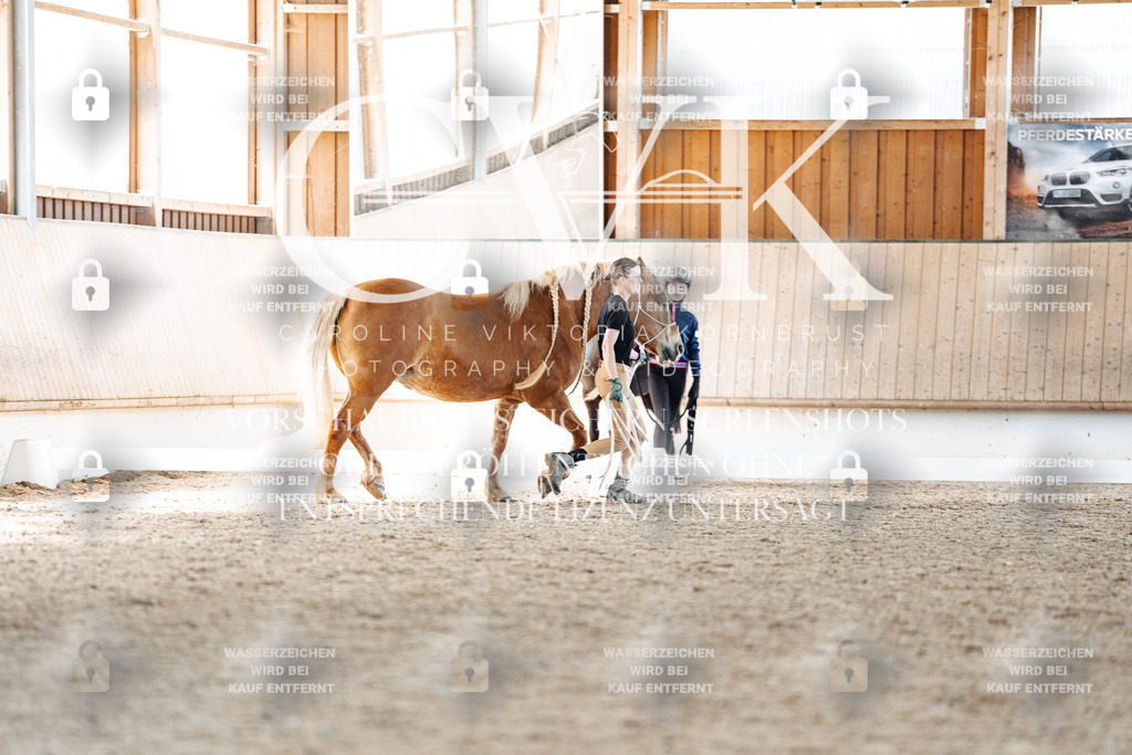 CK906747 | Turnierfotografie Pferdefotografie Trier Rheinland-Pfalz Pferdesport Reitsport Tierfotografie Sportfotografie Pferdevideo Pferdevideografie Equestrianvideography equestrianphotography  - Realisiert mit Pictrs.com