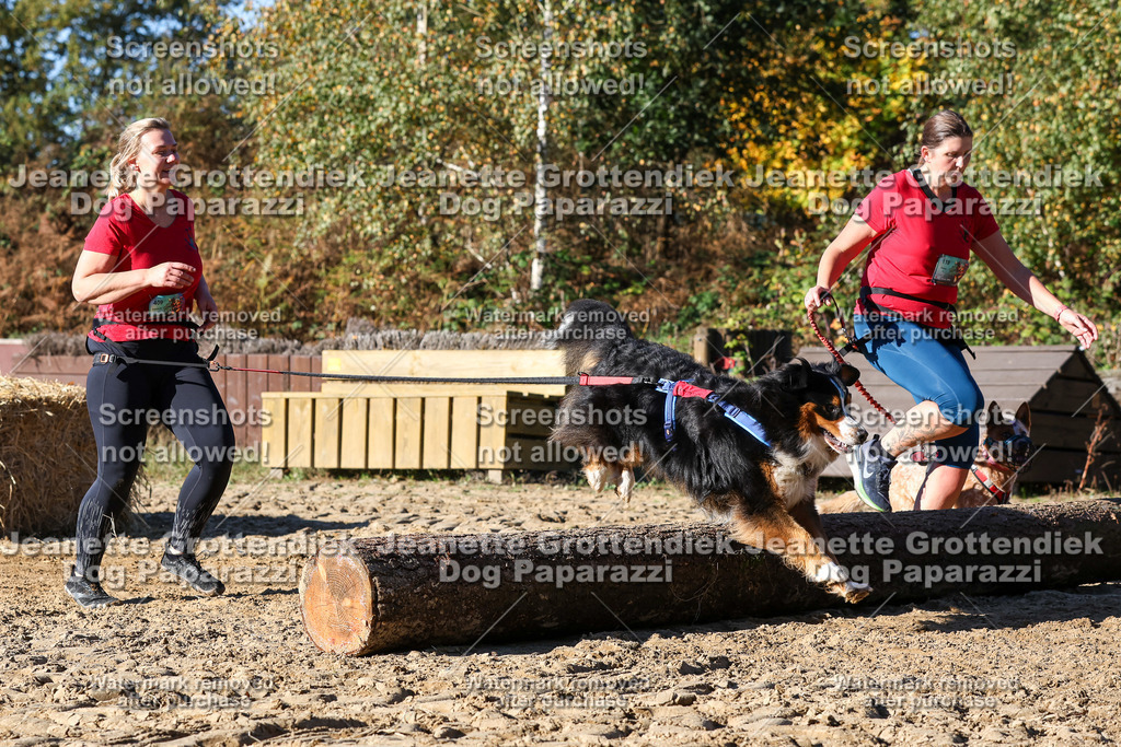 Dog Paparazzi - Strongdog 10-25-2211 | Dog Paparazzi Jeanette Grottendiek Fotografie & Videografie - Realisiert mit Pictrs.com