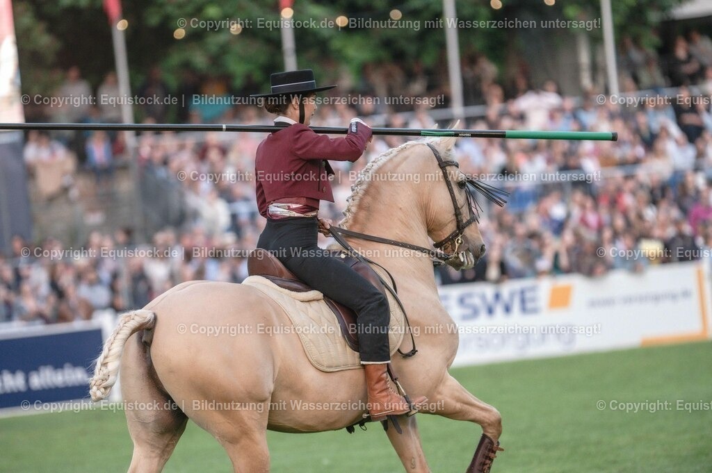 20230526_Pferdenacht_0677 | equistock