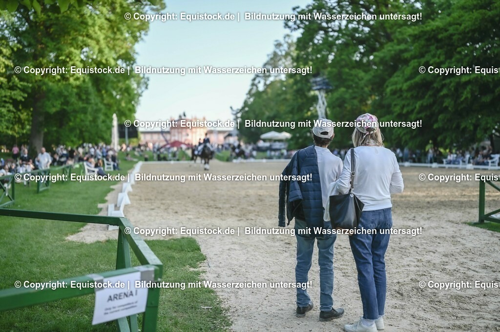 D78_3819 | equistock